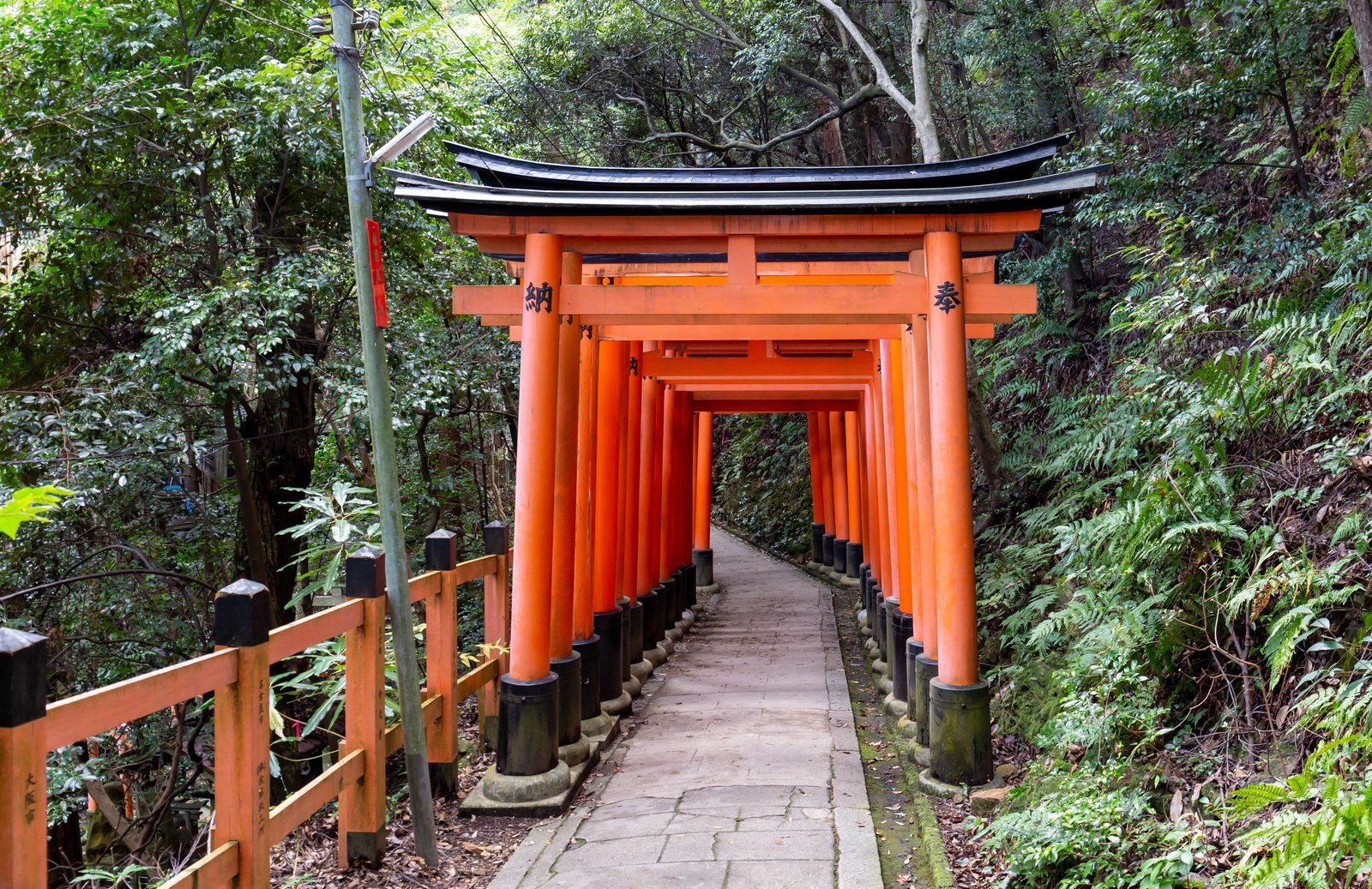A winding path of tall vermilion torii gates at Fushimi Inari Taisha in Kyoto